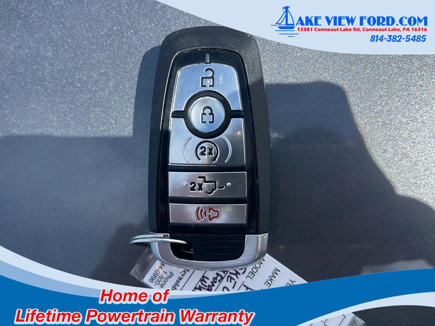 Used 2025 Ford F150 XLT w/ Equipment Group 303A High AWD/4WD image 15