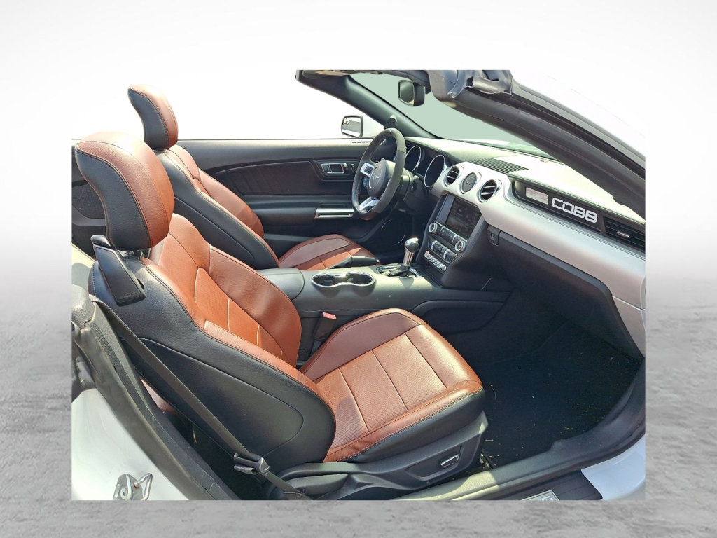 Used 2015 Ford Mustang Premium RWD image 11