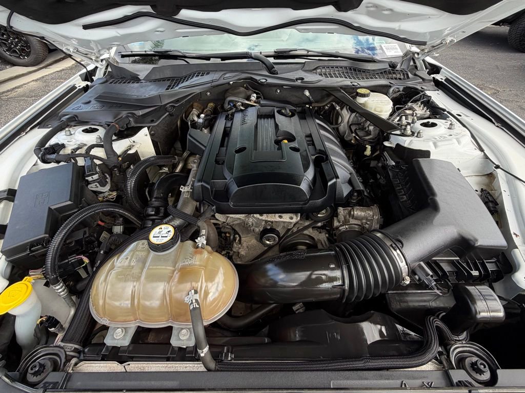 Certified 2019 Ford Mustang Premium image 33