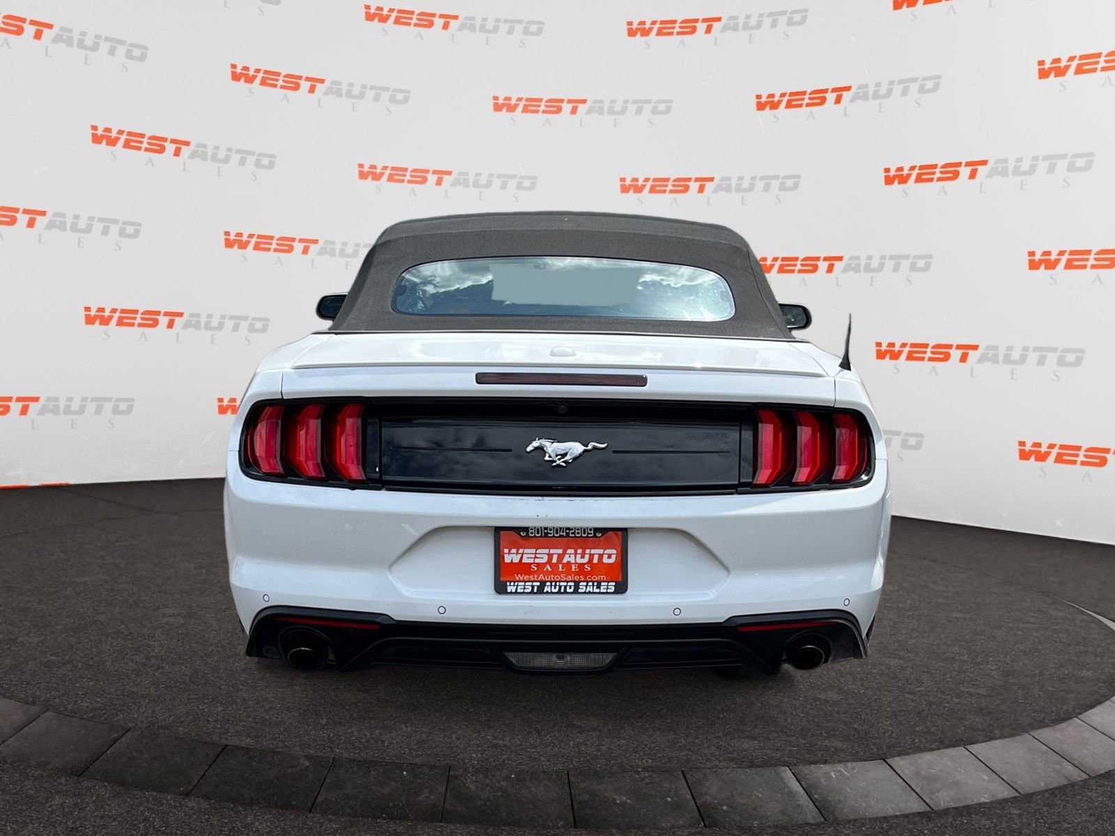 Used 2023 Ford Mustang Premium image 4