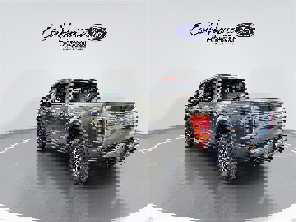 Used 2019 Ford F150 Raptor w/ Equipment Group 802A Luxury image 6