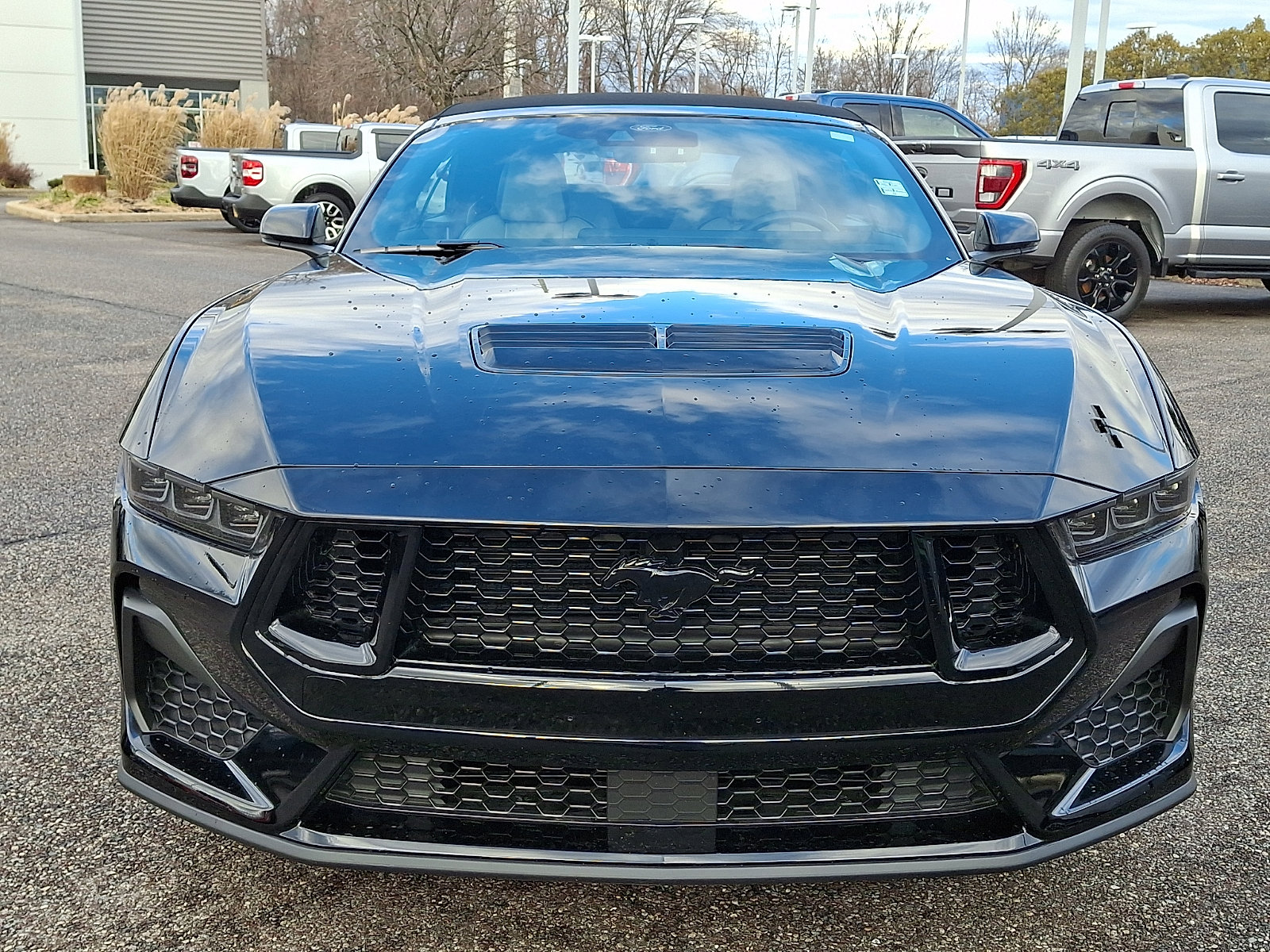 Certified 2024 Ford Mustang GT Premium image 3