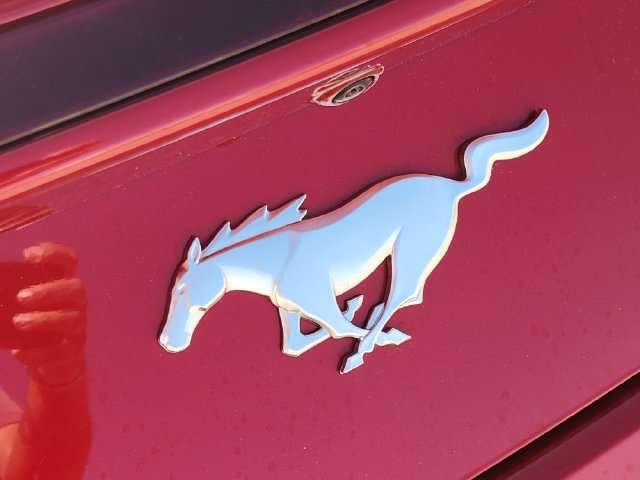 Used 2024 Ford Mustang Premium RWD image 9