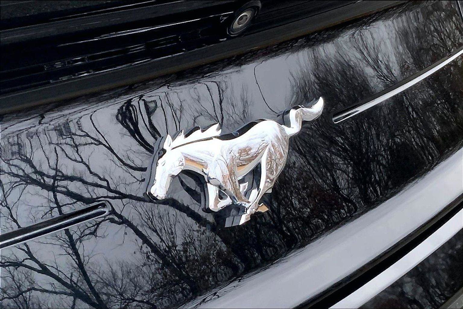 Used 2019 Ford Mustang Coupe w/ Ecoboost Performance Package image 25