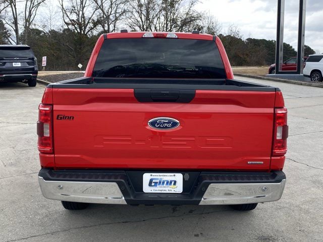 Used 2023 Ford F150 XLT image 4