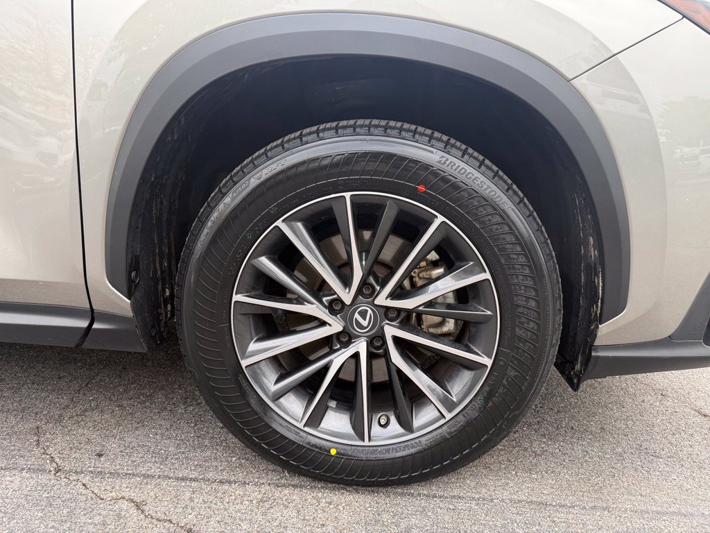 Used 2023 Lexus NX 250 AWD w/ Cold Area Package image 27