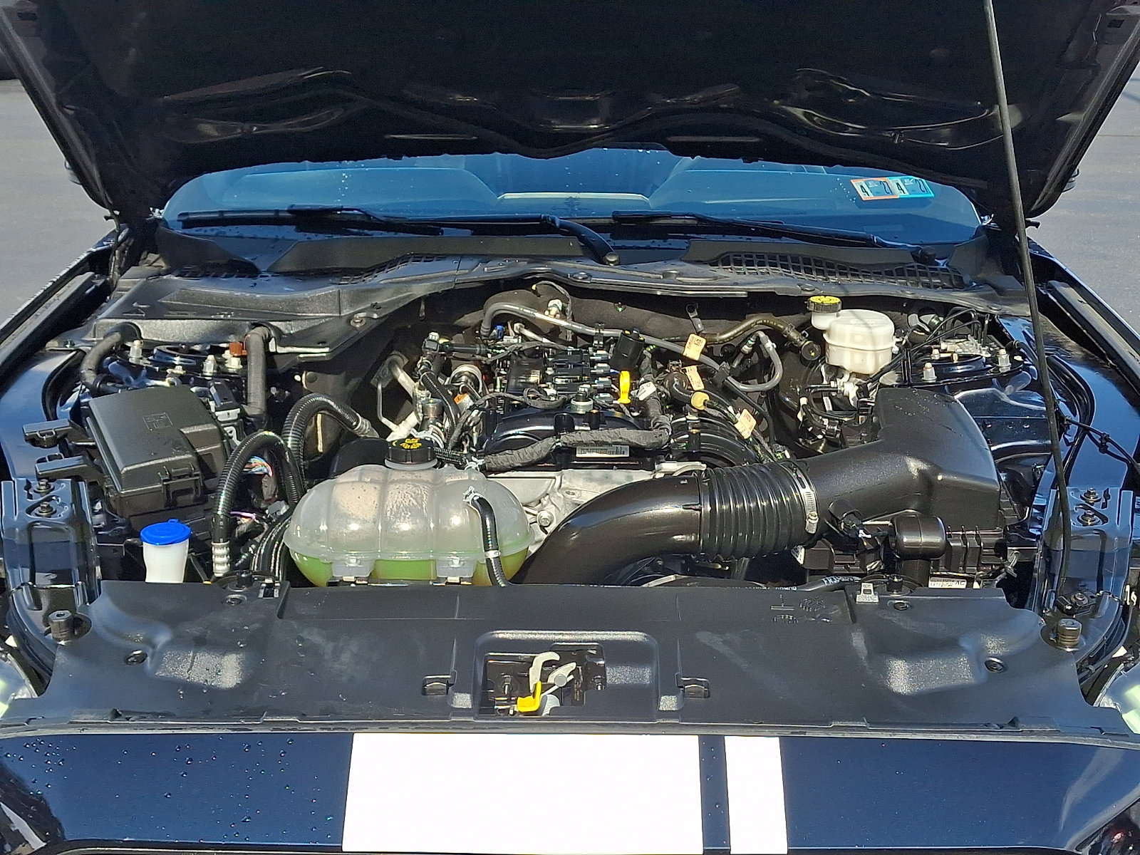Used 2021 Ford Mustang Premium w/ Equipment Group 201A RWD image 29