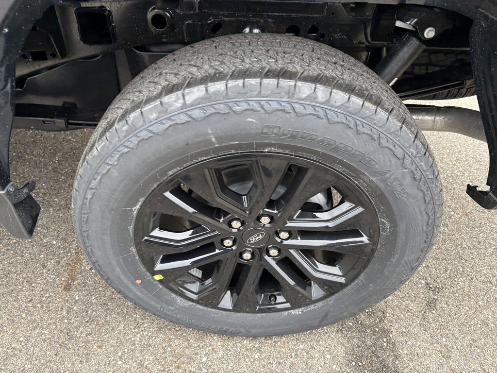 New 2026 Ford F150 XLT w/ Equipment Group 302A MID image 13