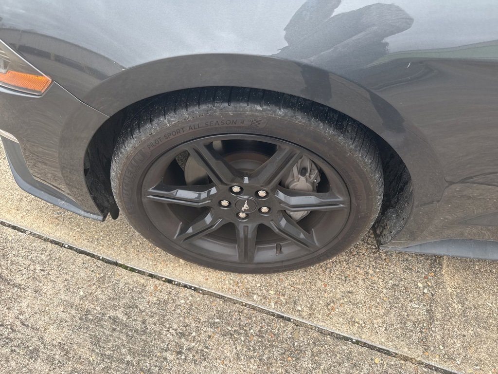 Used 2019 Ford Mustang GT w/ Black Accent Package image 20