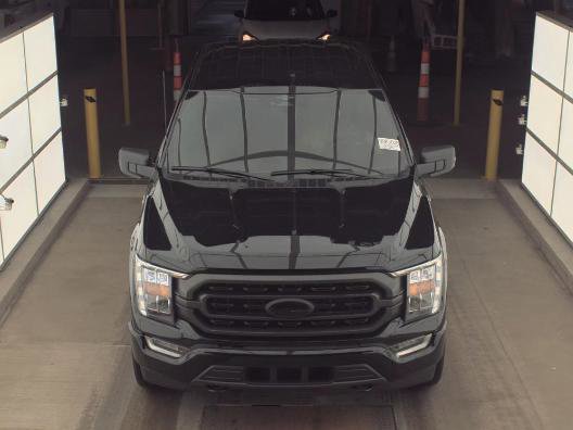 Used 2023 Ford F150 XLT w/ Equipment Group 302A High image 2