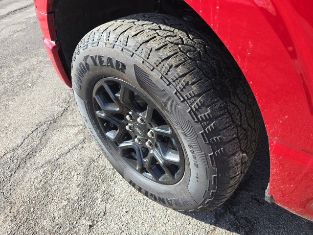 Used 2025 Ford F150 XLT w/ Equipment Group 301A Standard image 11