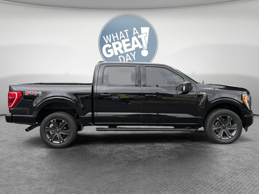 Used 2023 Ford F150 XLT w/ Equipment Group 302A High AWD/4WD image 2
