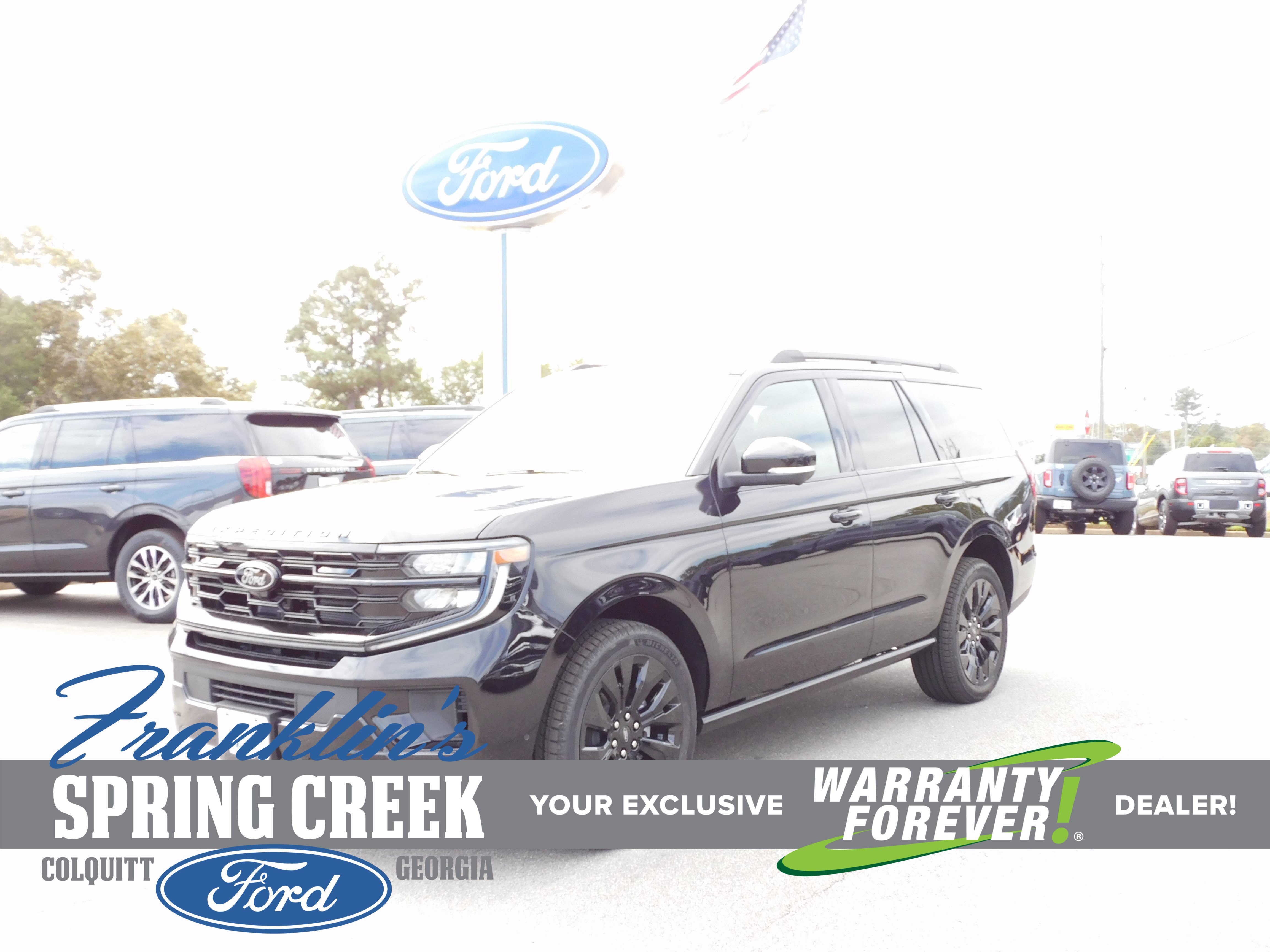 New 2025 Ford Expedition Platinum