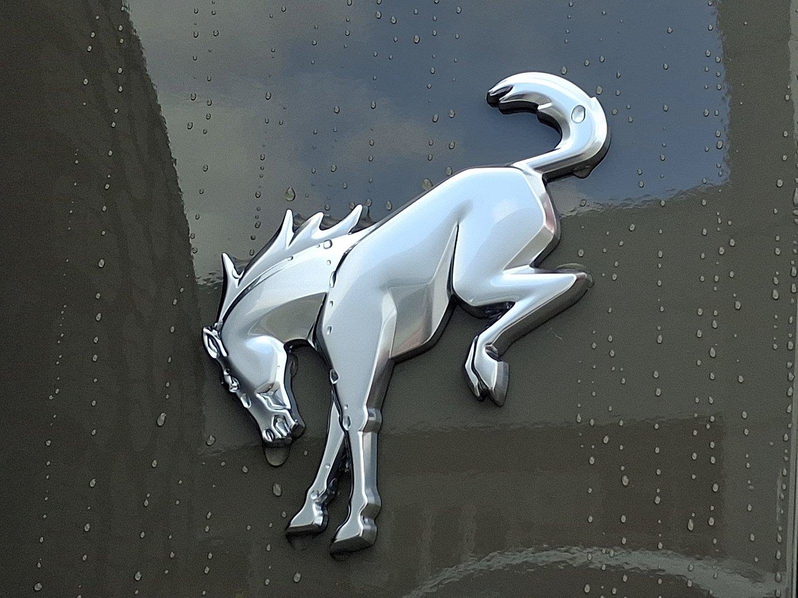 New 2026 Ford Bronco Heritage Edition AWD/4WD image 20