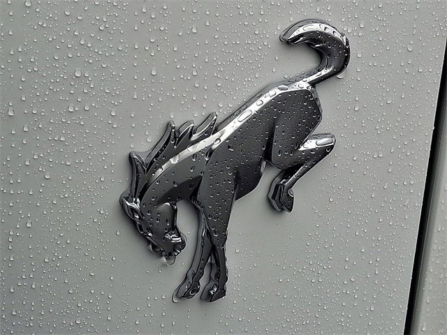 New 2025 Ford Bronco Badlands image 19