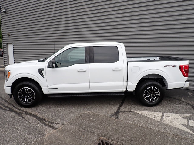 Certified 2023 Ford F150 XLT w/ Equipment Group 302A High AWD/4WD image 2