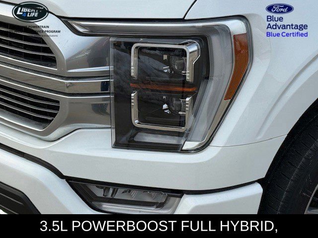 Certified 2023 Ford F150 Limited image 9