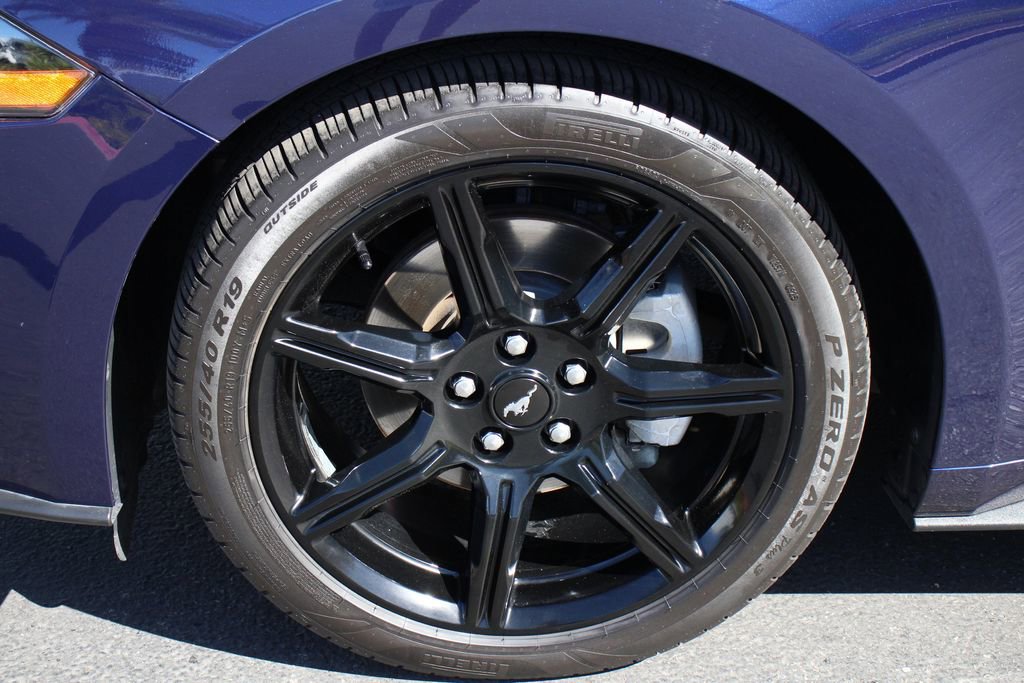 Certified 2019 Ford Mustang Premium w/ Equipment Group 201A RWD image 14
