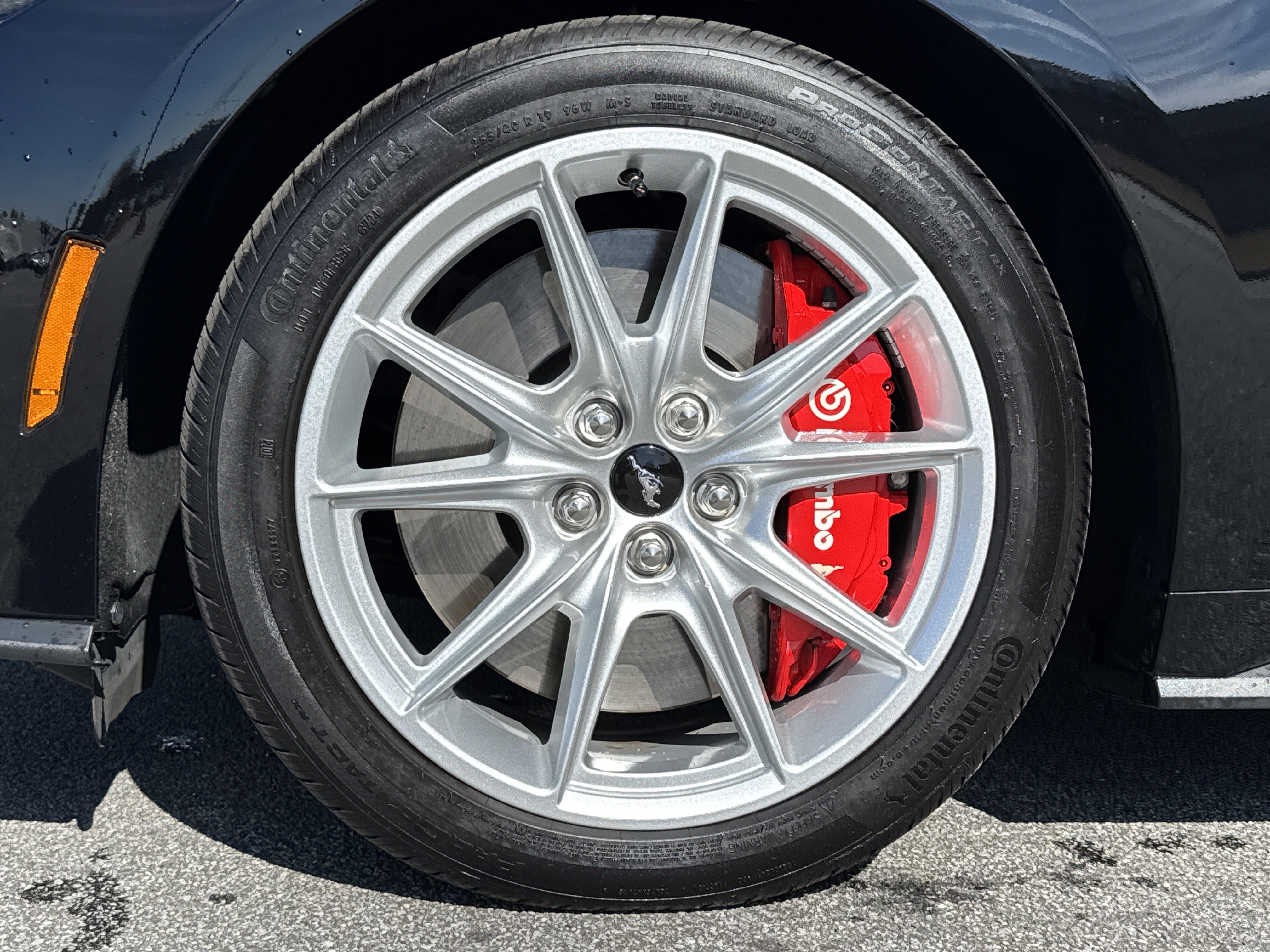 Used 2024 Ford Mustang GT Premium image 13