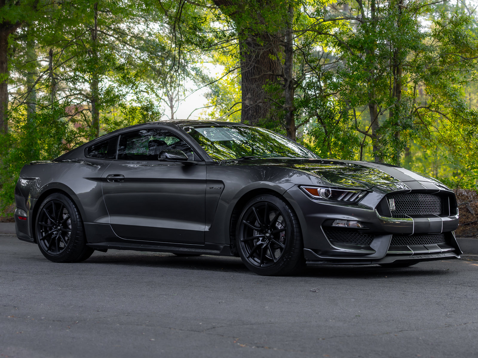 Used 2016 Ford Mustang Shelby GT350 w/ Technology Package RWD image 47