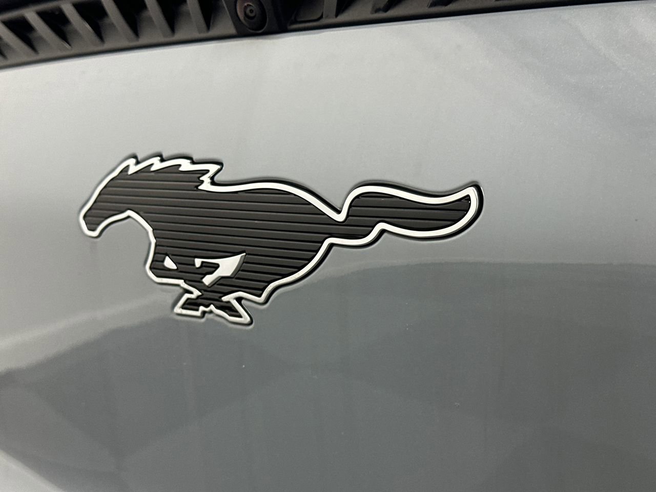 New 2024 Ford Mustang Mach-E Select w/ Comfort Package Lite image 12