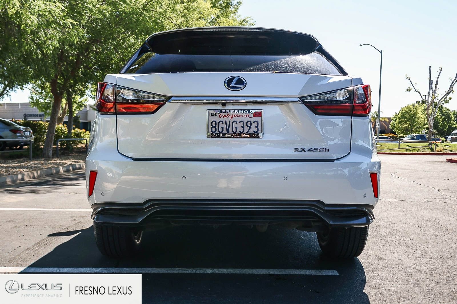 Used 2019 Lexus RX 450h AWD w/ Cold Area Package image 5
