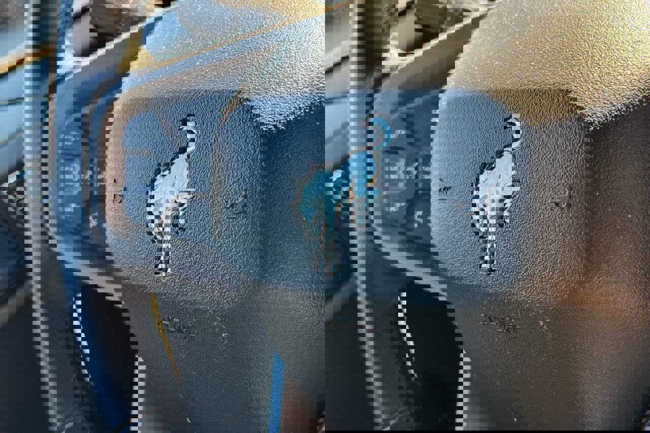 Used 2024 Ford Bronco Big Bend image 28