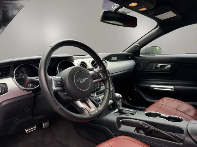 Used 2015 Ford Mustang Premium w/ Equipment Group 201A RWD image 10