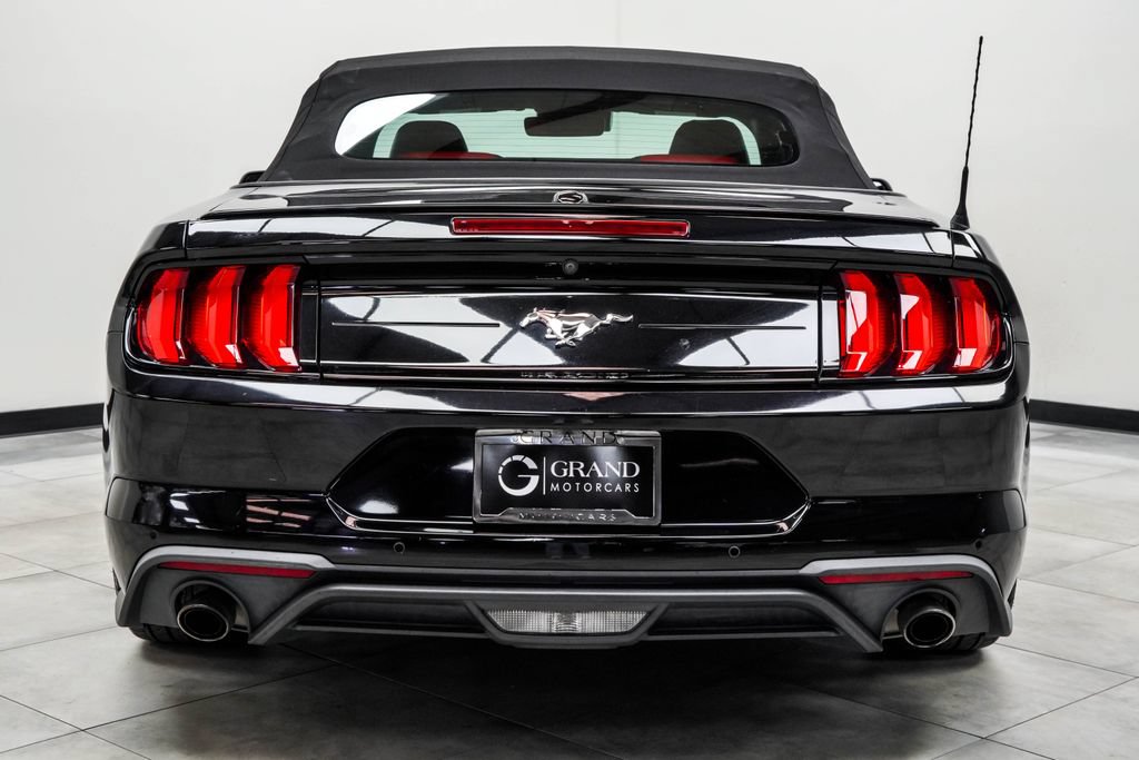 Used 2019 Ford Mustang Premium w/ Equipment Group 201A RWD image 7