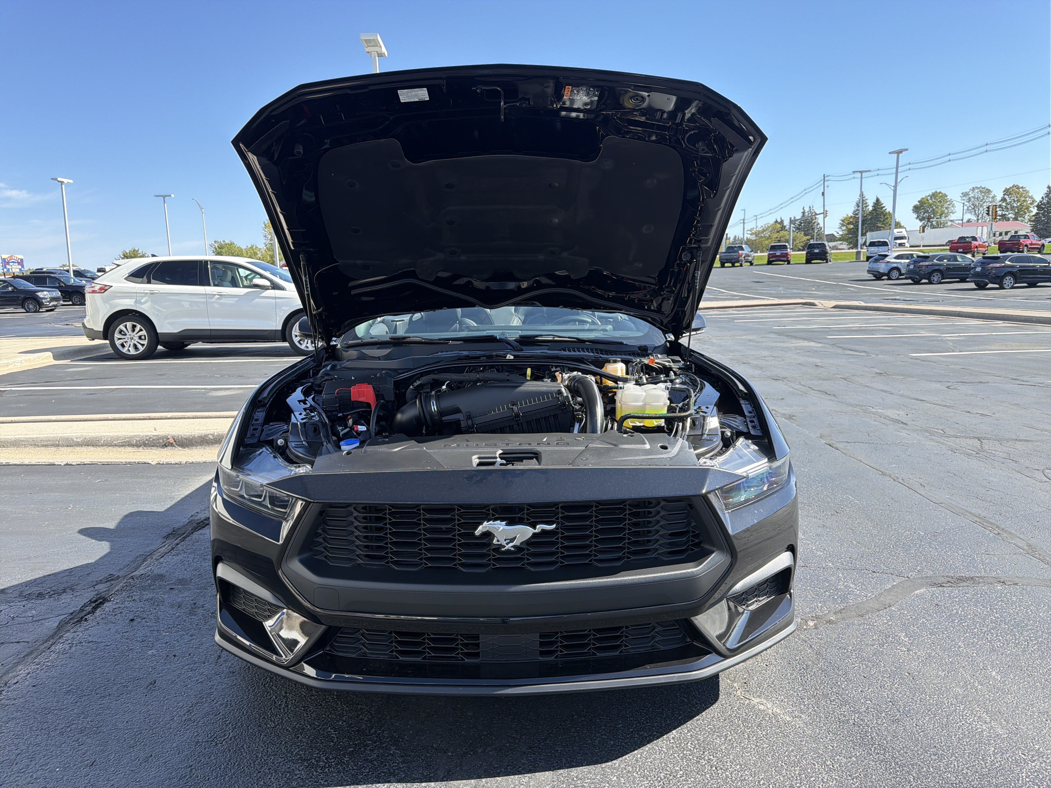New 2026 Ford Mustang Premium RWD image 29