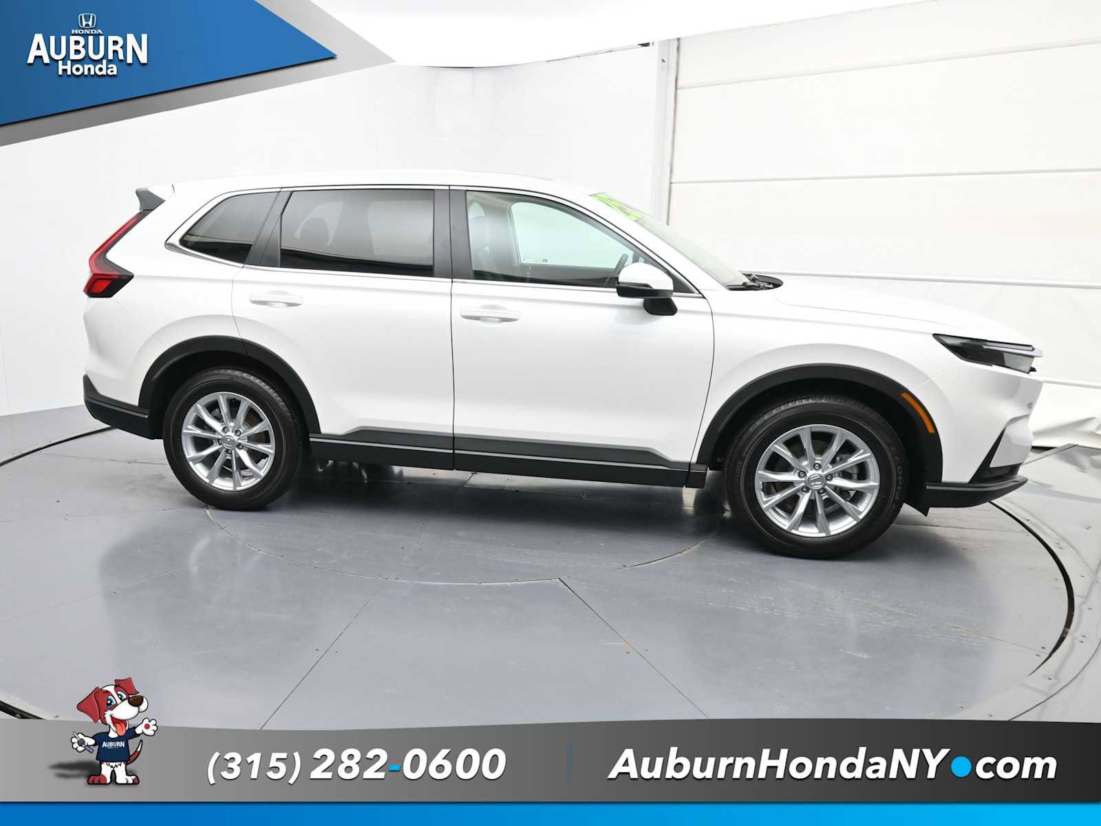 Used 2025 Honda CR-V EX-L image 10