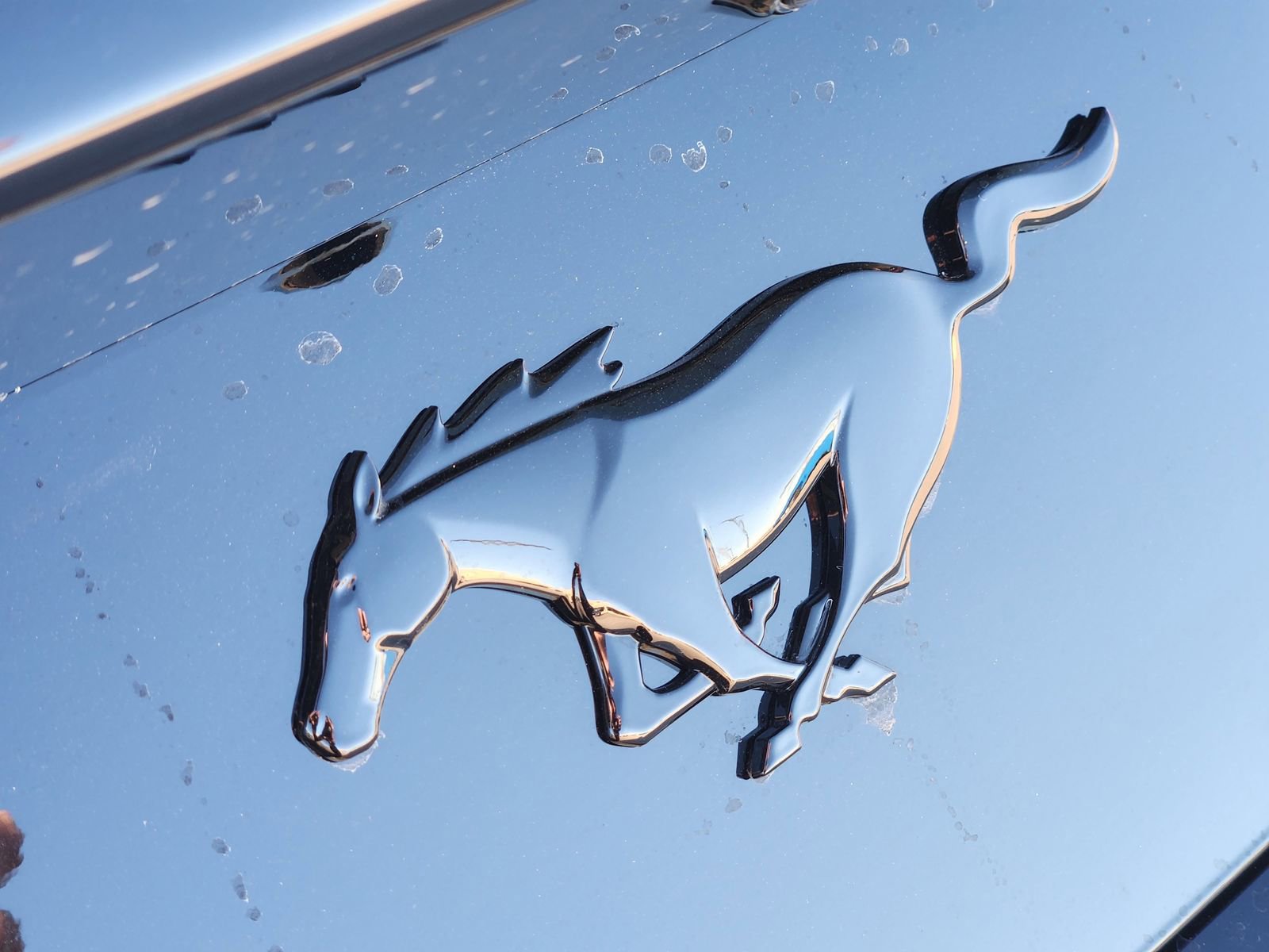 New 2026 Ford Mustang Coupe w/ Mustang Nite Pony Package image 12