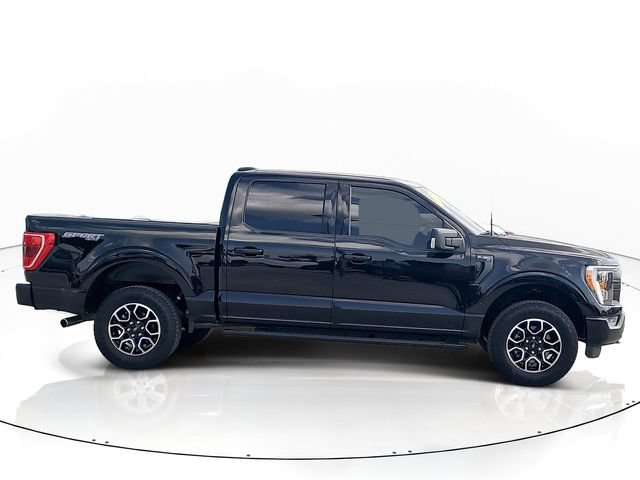 Used 2023 Ford F150 XLT w/ Equipment Group 302A High AWD/4WD image 4