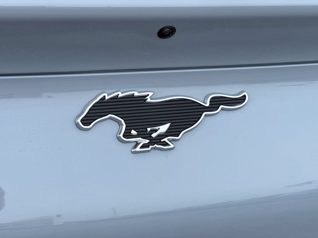 New 2026 Ford Mustang Mach-E Premium AWD/4WD image 26