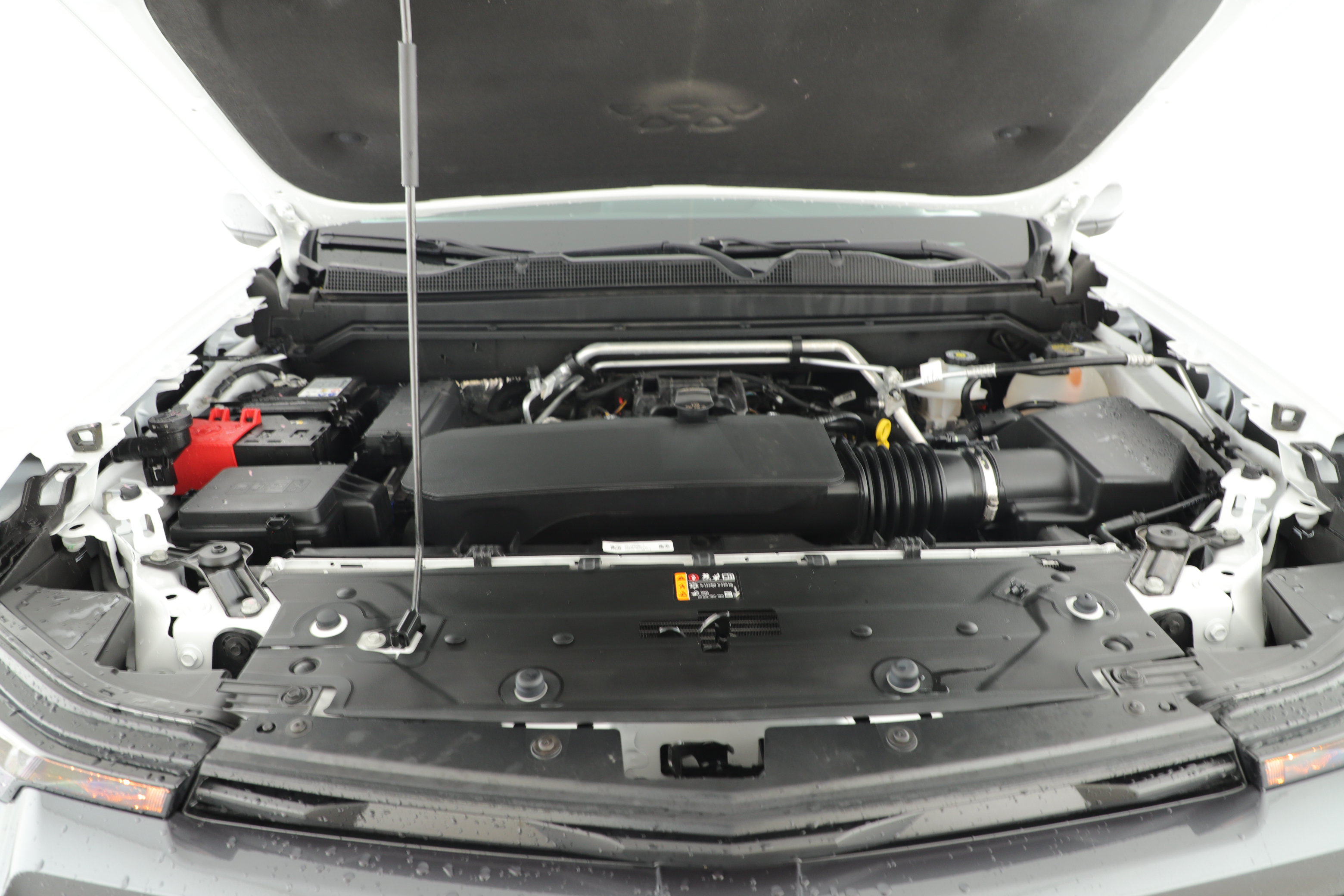 Used 2026 Chevrolet Colorado LT RWD image 6