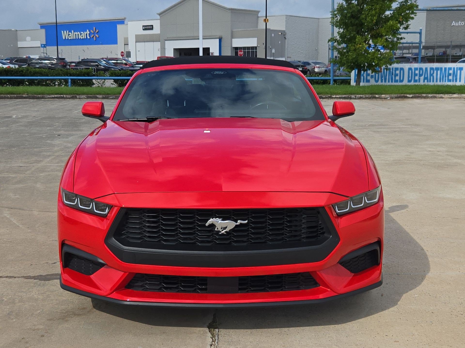 Used 2025 Ford Mustang Premium RWD image 10