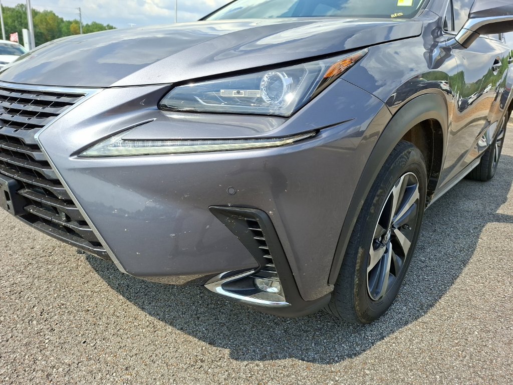 Used 2019 Lexus NX 300h AWD w/ Premium Package image 9