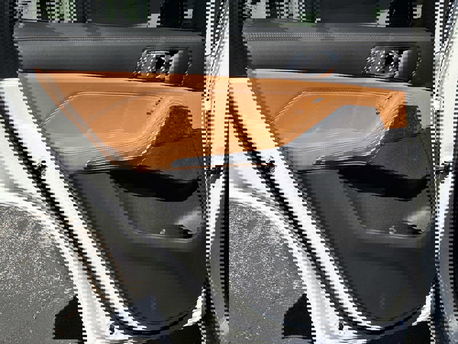 Certified 2025 BMW X5 sDrive40i w/ Parking Assistance Package image 13