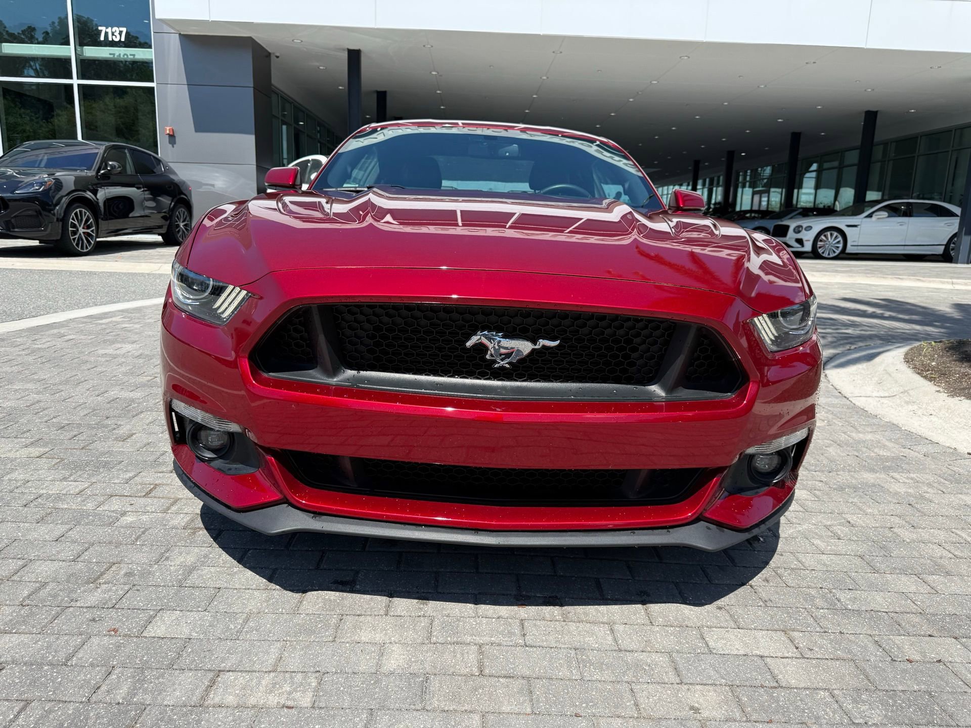 Used 2017 Ford Mustang GT Premium w/ Equipment Group 401A image 8