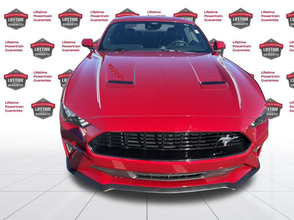 Used 2023 Ford Mustang Premium w/ Equipment Group 201A image 2