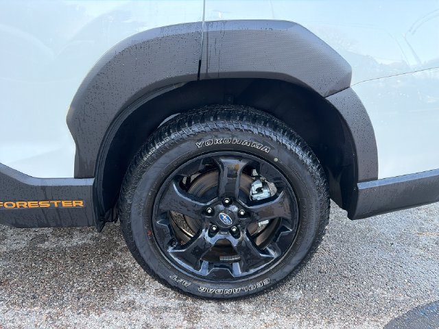 Certified 2025 Subaru Forester Wilderness w/ Wilderness Package AWD/4WD image 21