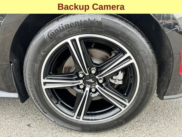 Used 2024 Ford Mustang Premium image 12