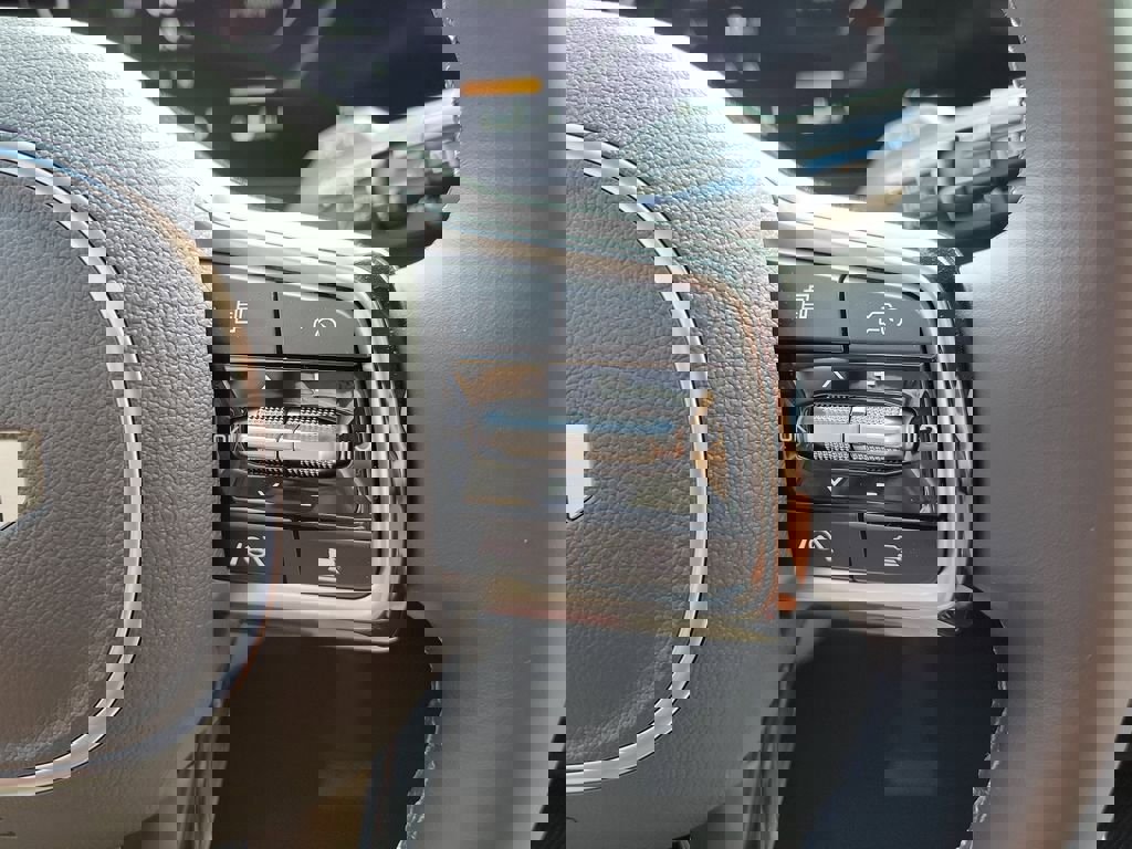 New 2026 Kia Carnival SX Prestige image 29