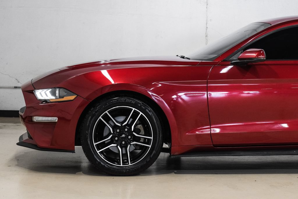 Used 2019 Ford Mustang Coupe RWD image 16
