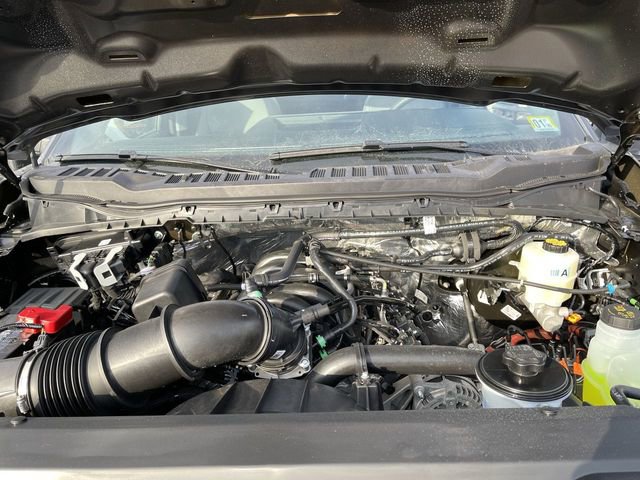 New 2026 Ford F250 XL w/ Snow Plow Prep Package image 11