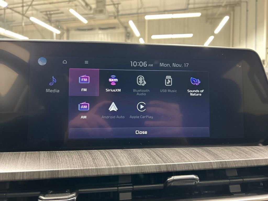 New 2025 Kia Telluride EX image 18