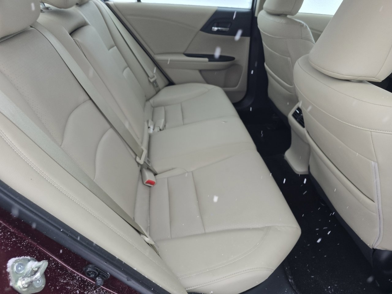 Used 2015 Honda Accord EX-L image 21