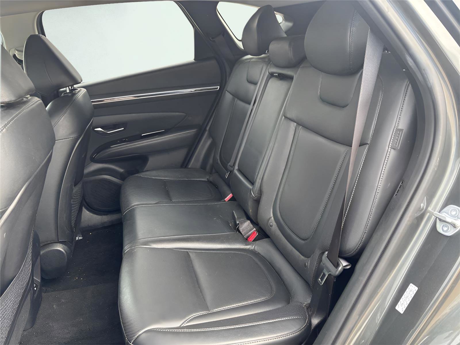 Used 2024 Hyundai Tucson Limited image 13