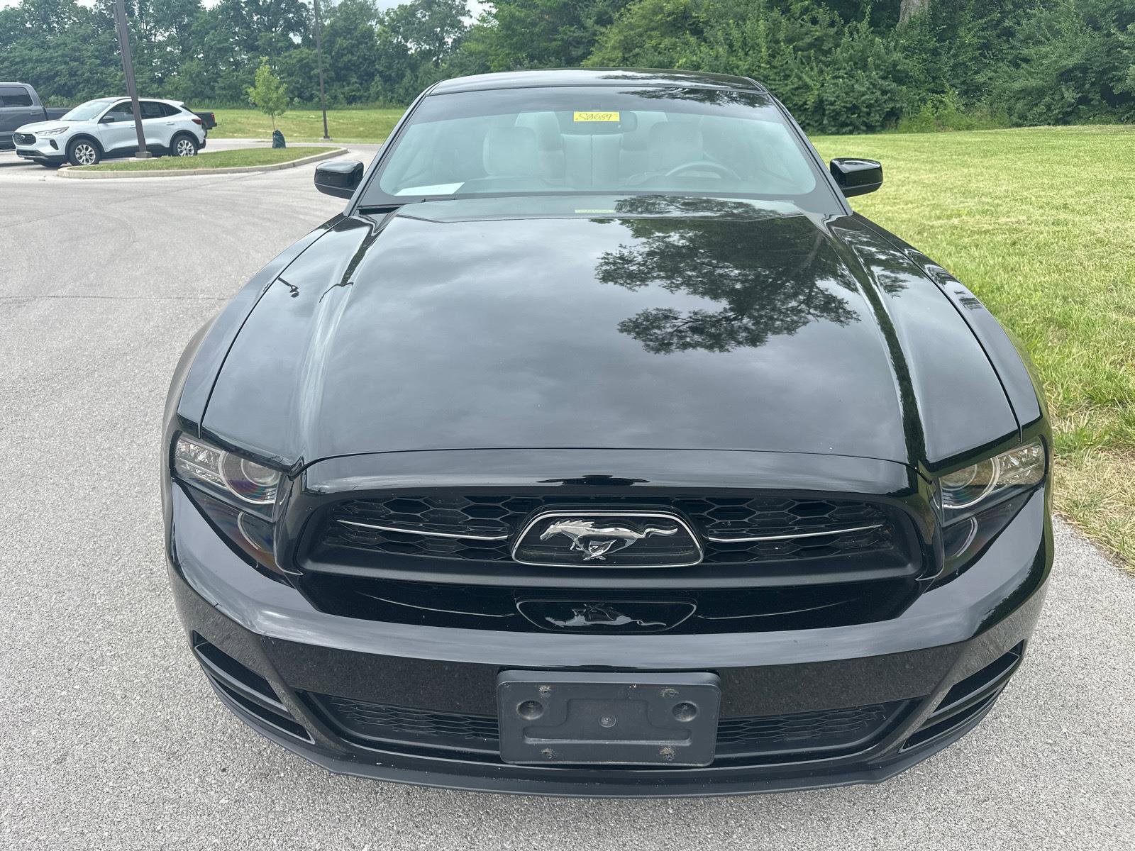 Used 2014 Ford Mustang Premium w/ Equipment Group 202A RWD image 11