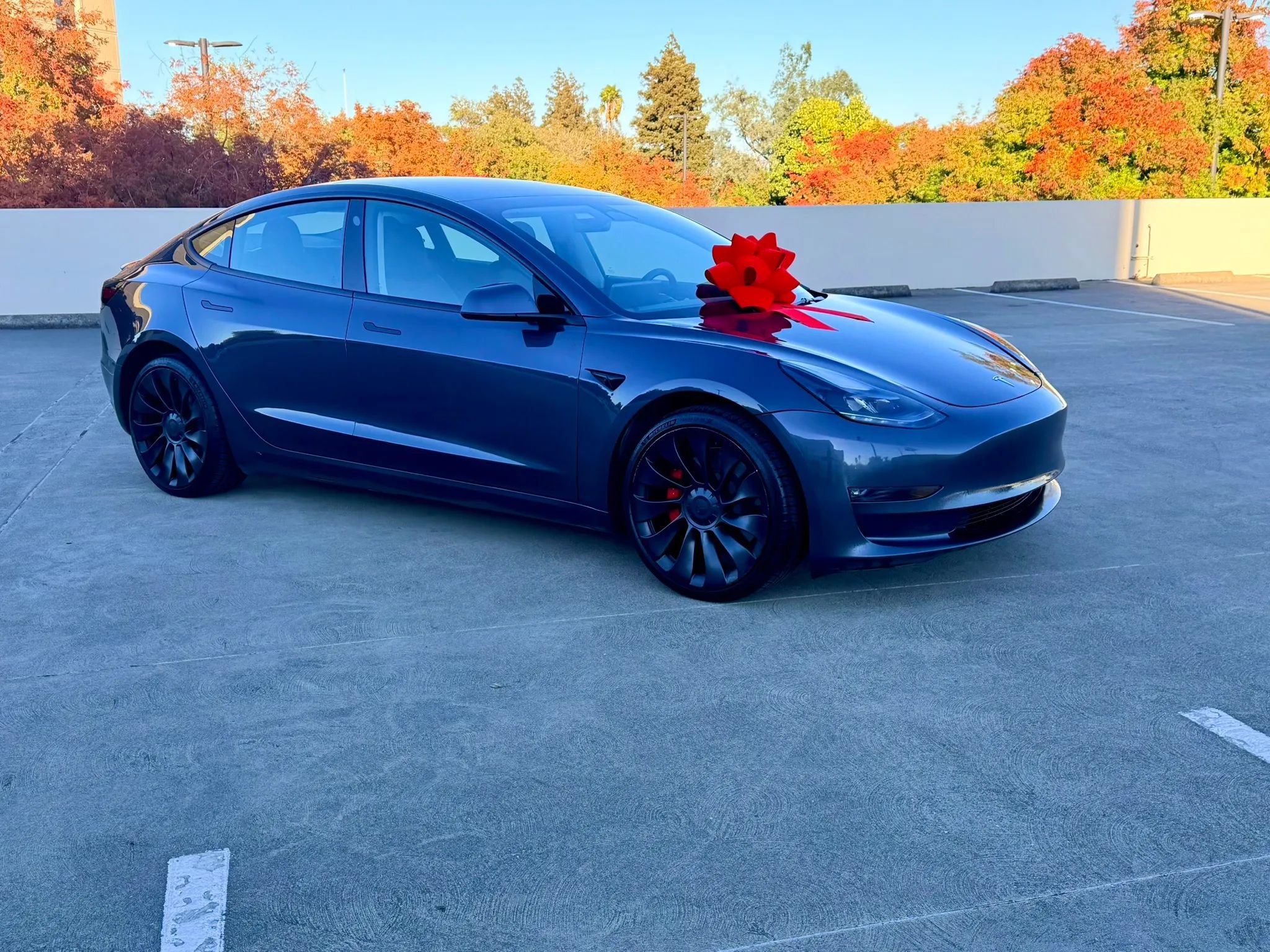 Used 2023 Tesla Model 3 Performance AWD/4WD image 10